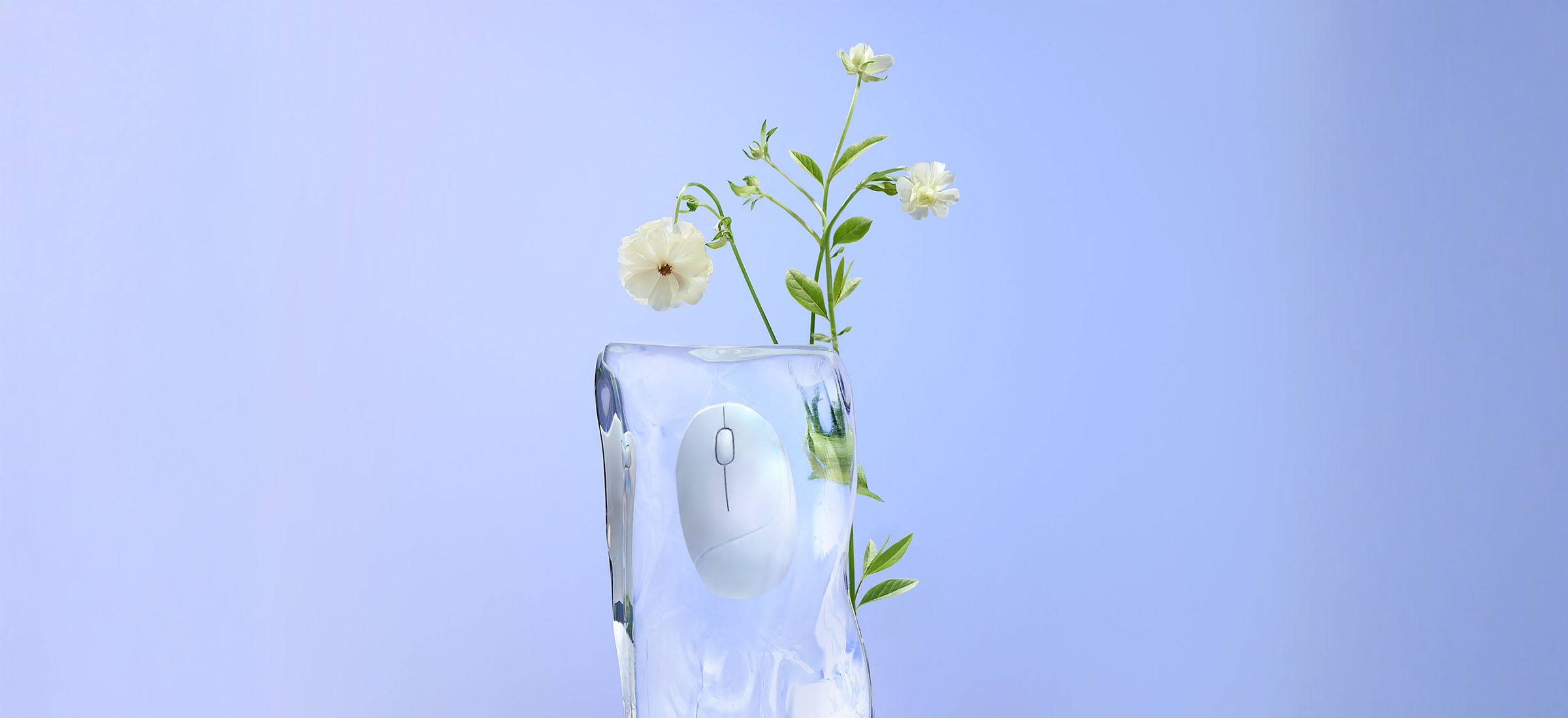 Asus Fragrance Mouse