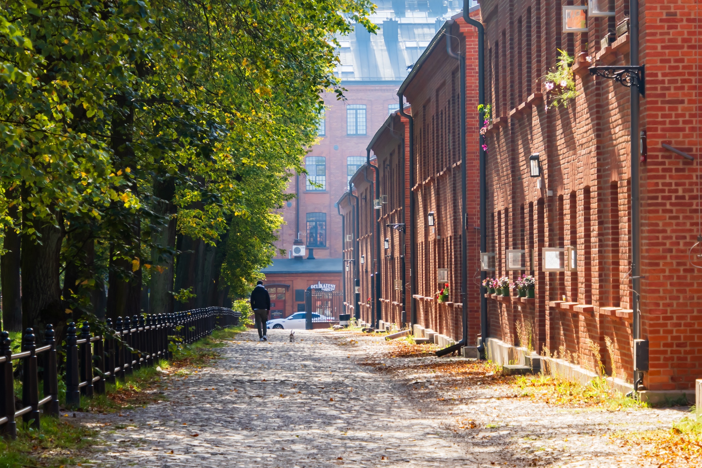 Wyciągną rzekę Lamus na powierzchnię. Przez lata płynęła pod Łodzią