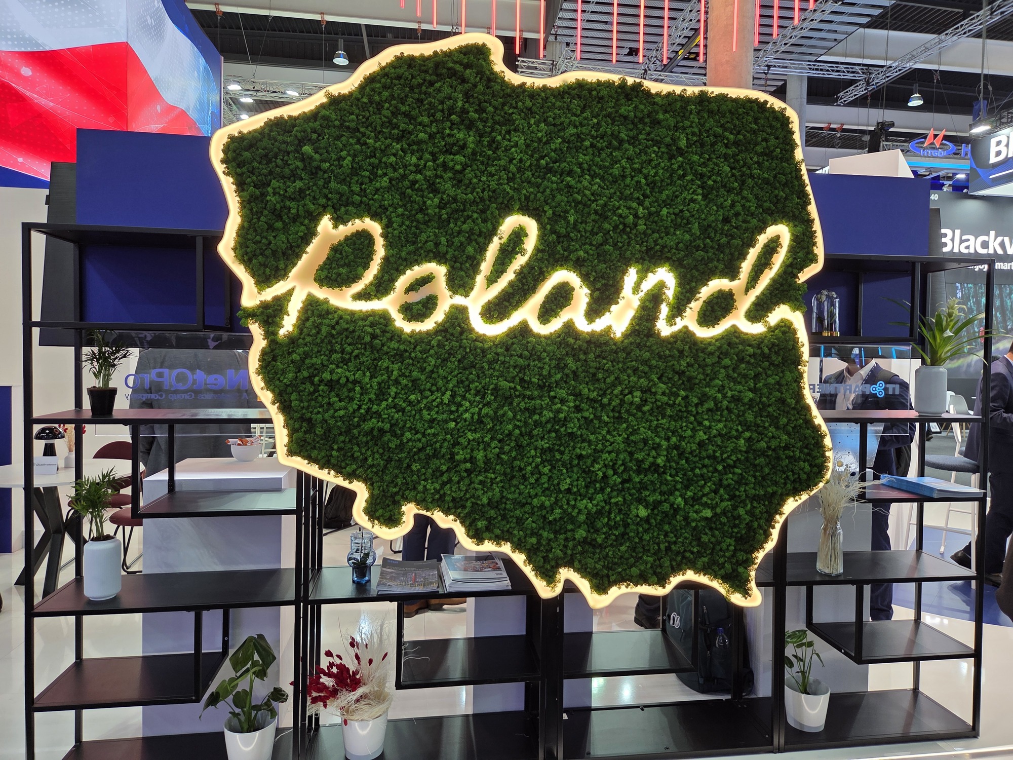 Poland Stronk, czyli czym możemy się pochwalić światu