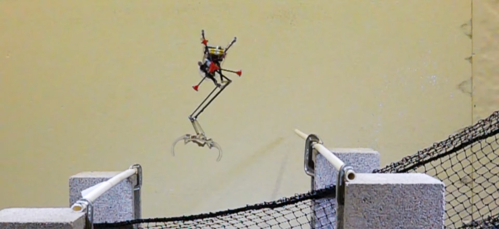 Ten robot zawstydzi wszystkie wiewiórki w parku - i w kosmosie. Naukowcy stworzyli coś niesamowitego