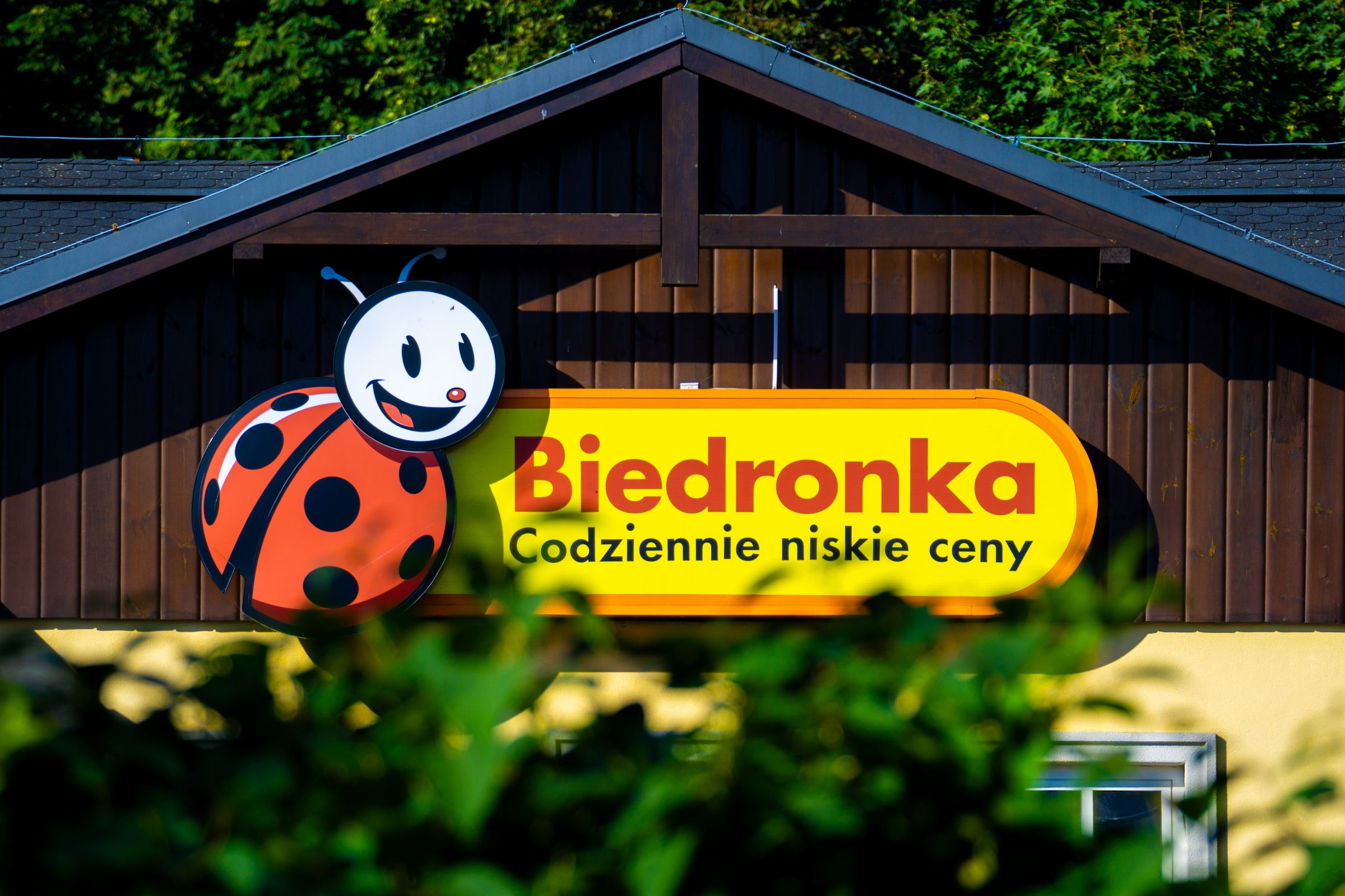 Dreame Mova K10 na promocji w Biedronce. Przyda się nie tylko przed świętami