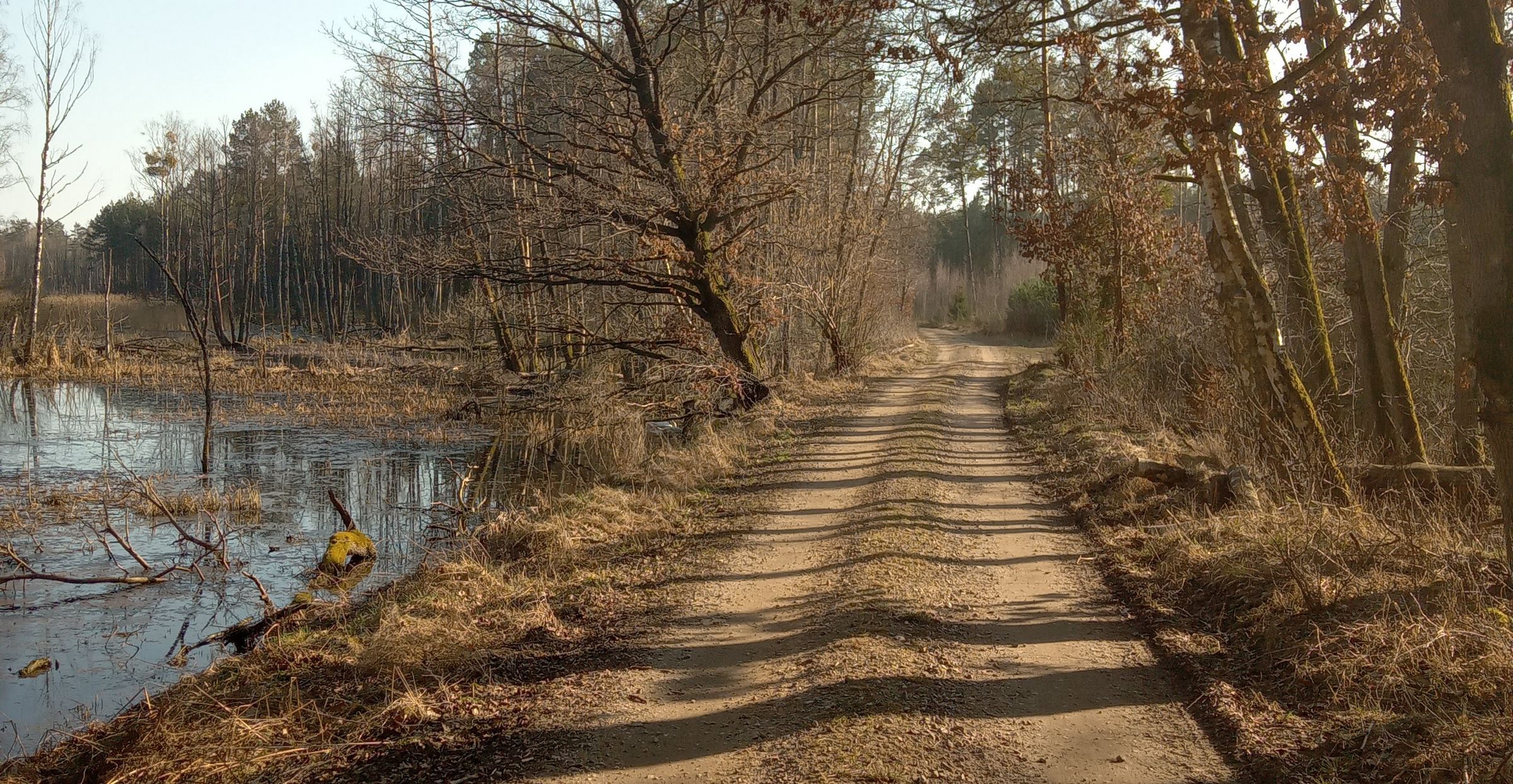 Jest klimatyczne podsumowanie marca. Polska na rekordowym kursie