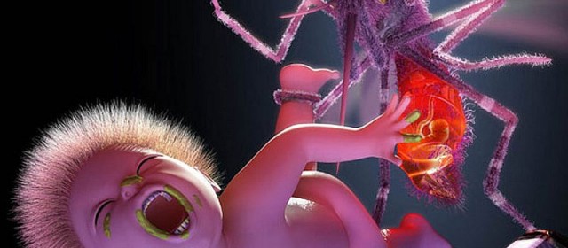 Po „Mosquito”, nowym albumie Yeah Yeah Yeahs, wciąż drżą mi kolana