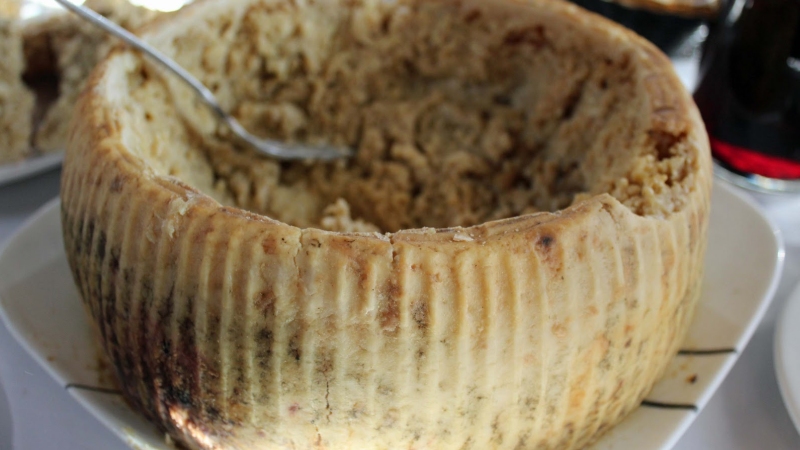 casu_marzu