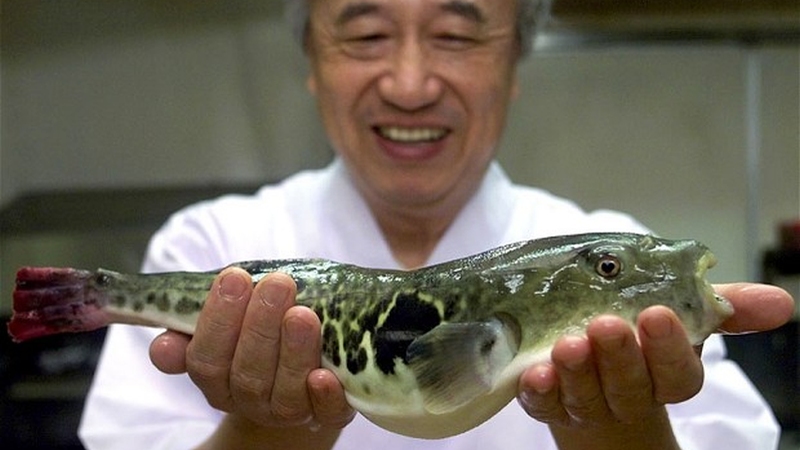 fugu