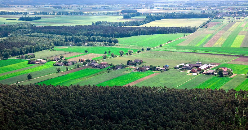 Książka jak śniegowa kula &#8211; cały wszechświat w dłoni