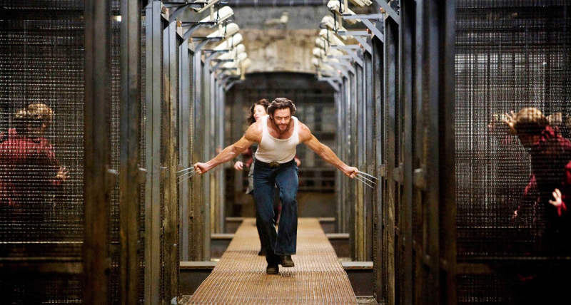 wolvie