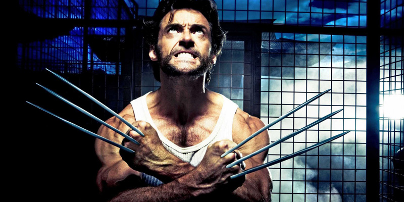 wolverine