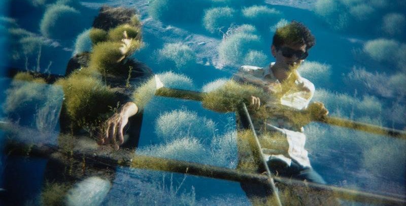 Nowy album MGMT do posłuchania i&#8230; obejrzenia.