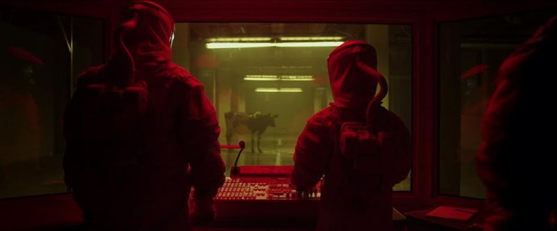 the signal
