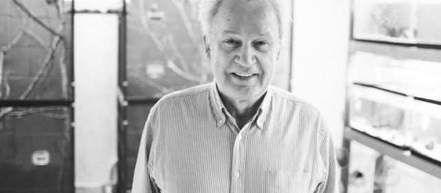 Giorgio Moroder remiksuje Coldplay