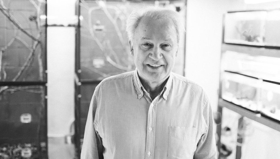 Giorgio Moroder remiksuje Coldplay