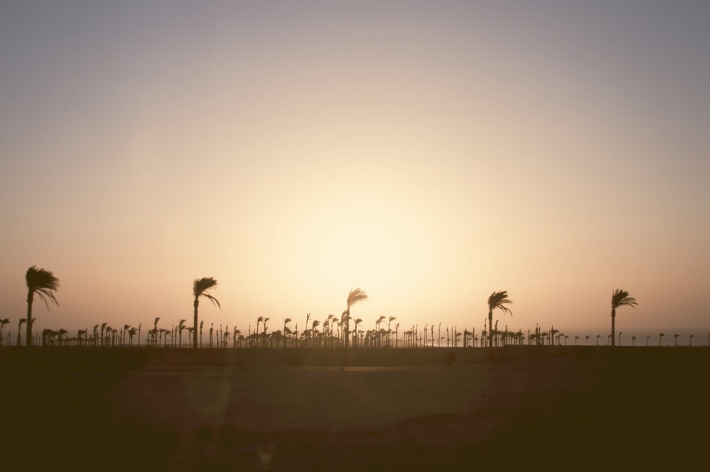 wakacje summer spotify