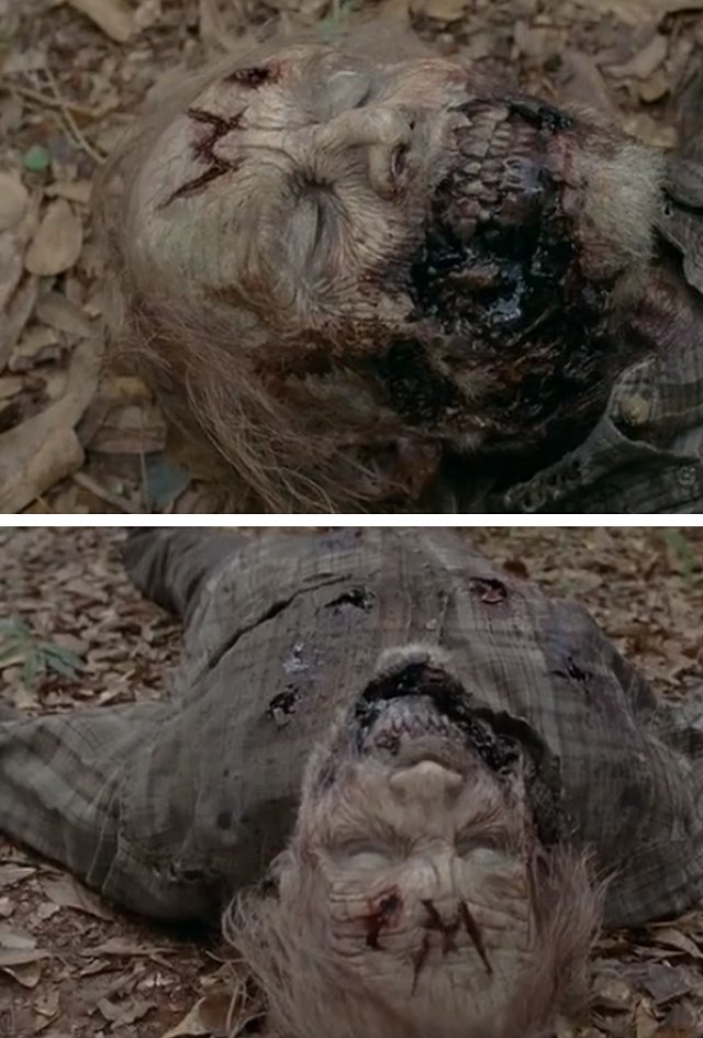 the walking dead w 1