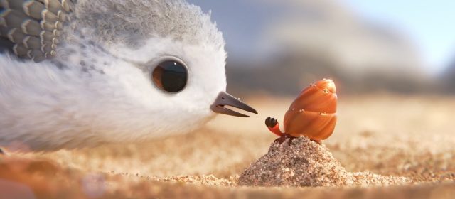 Oto Piper - najładniejsza animacja jaką zrobił Pixar