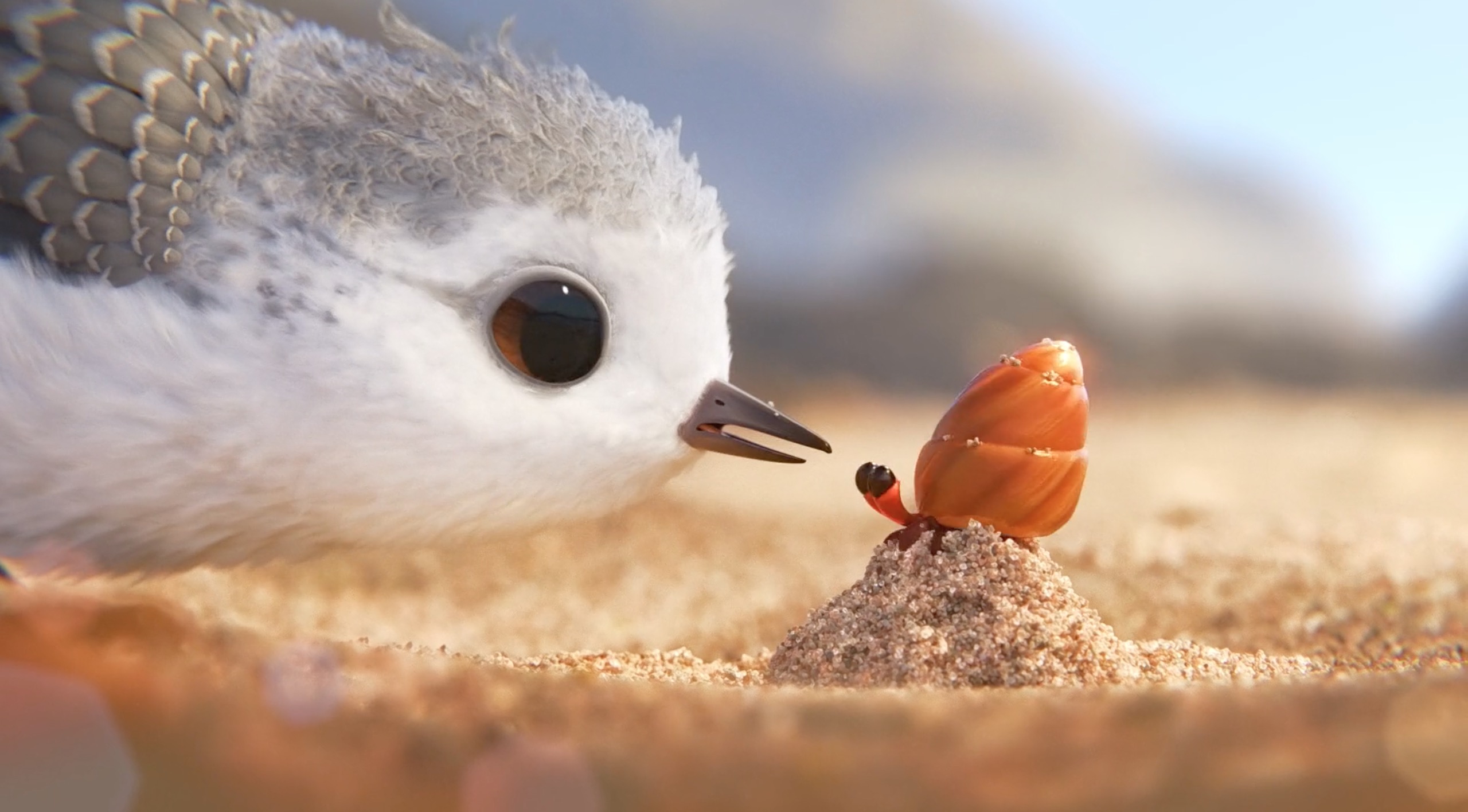 Oto Piper - najładniejsza animacja jaką zrobił Pixar