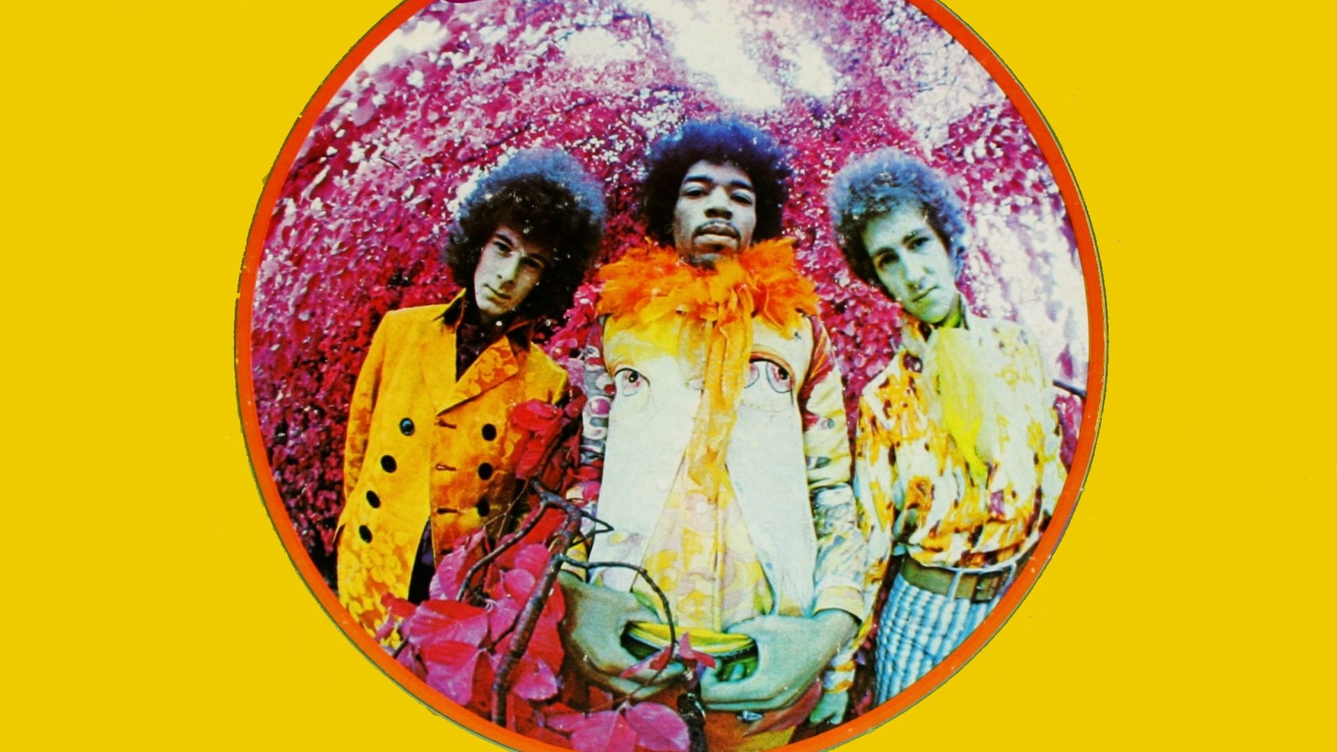 Are You Experienced