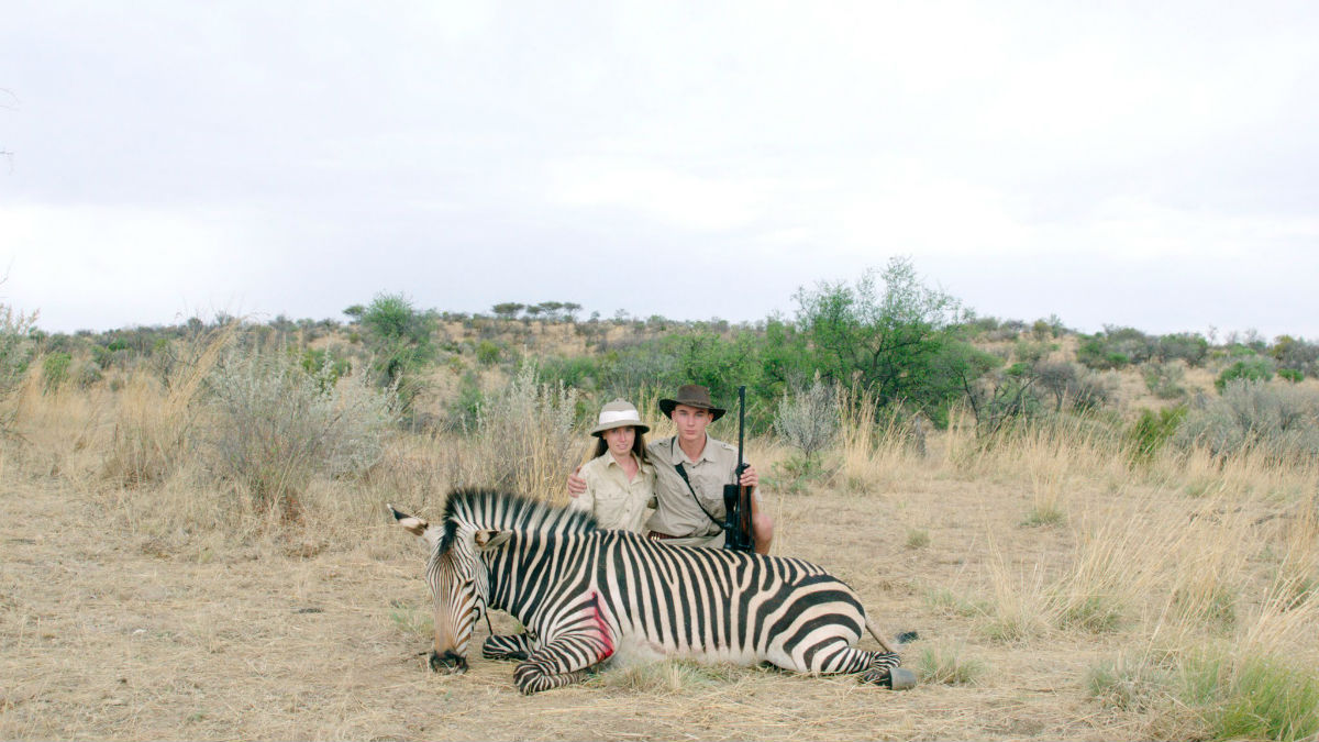 safari film