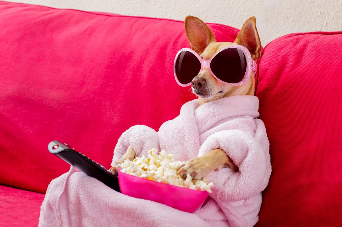 netflix czerwiec lista nowości