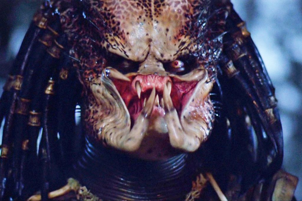 predator making of class="wp-image-200719" 