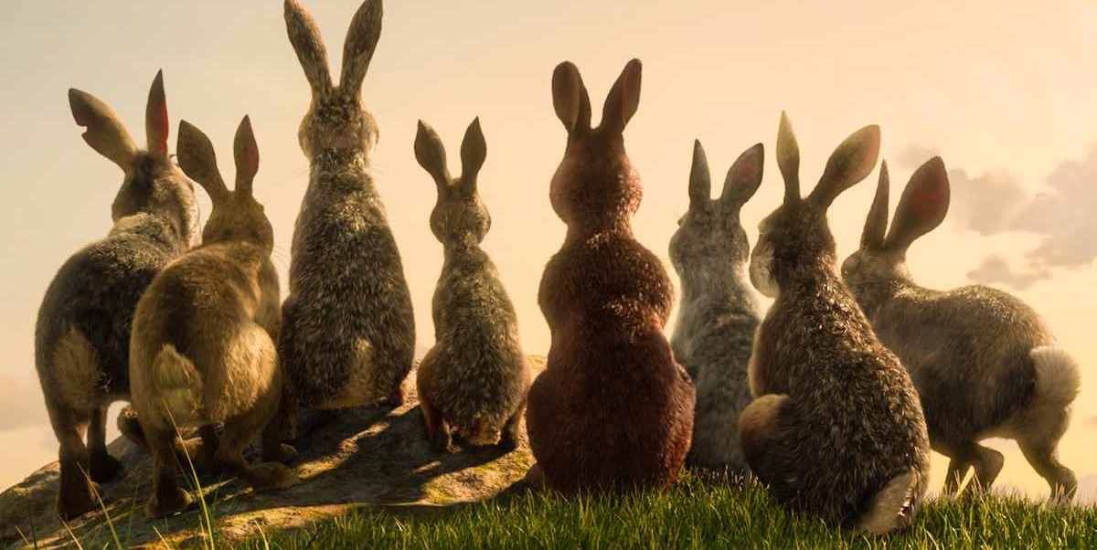 wodnikowe wzgórze netflix premiera