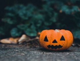 komisja sejmowa petycja halloween penalizacja