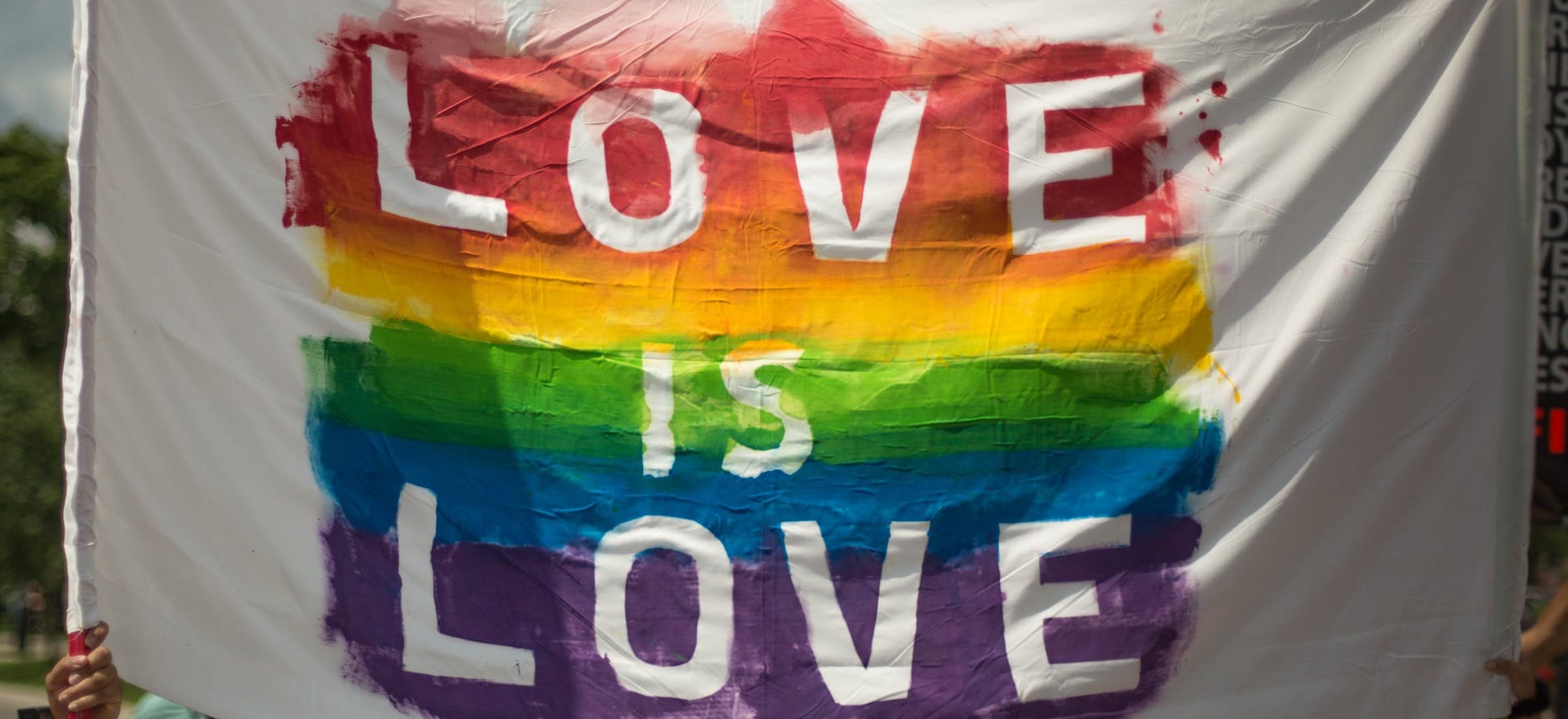 margot areszt zamieszki lgbt rozenek gonciarz pugh