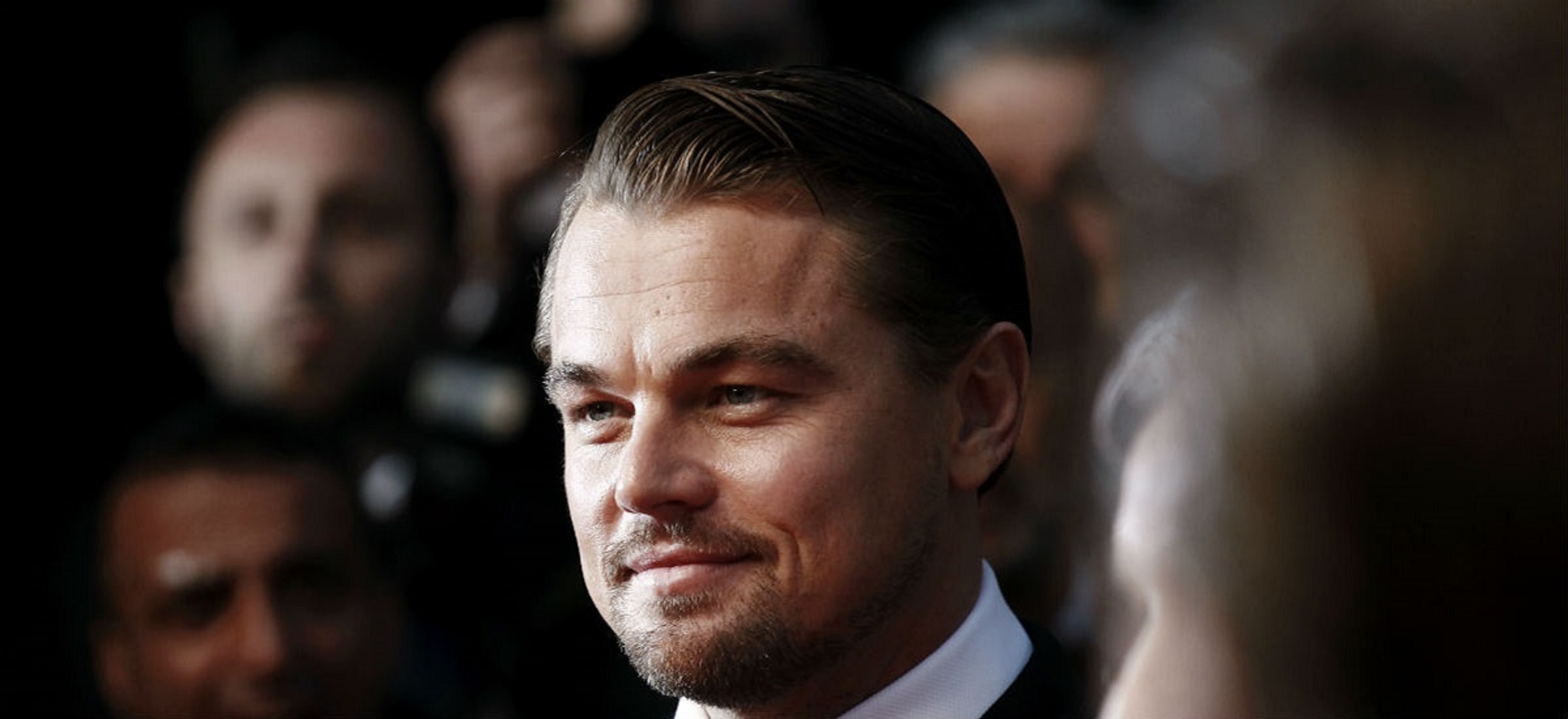 leonardo dicaprio netflix