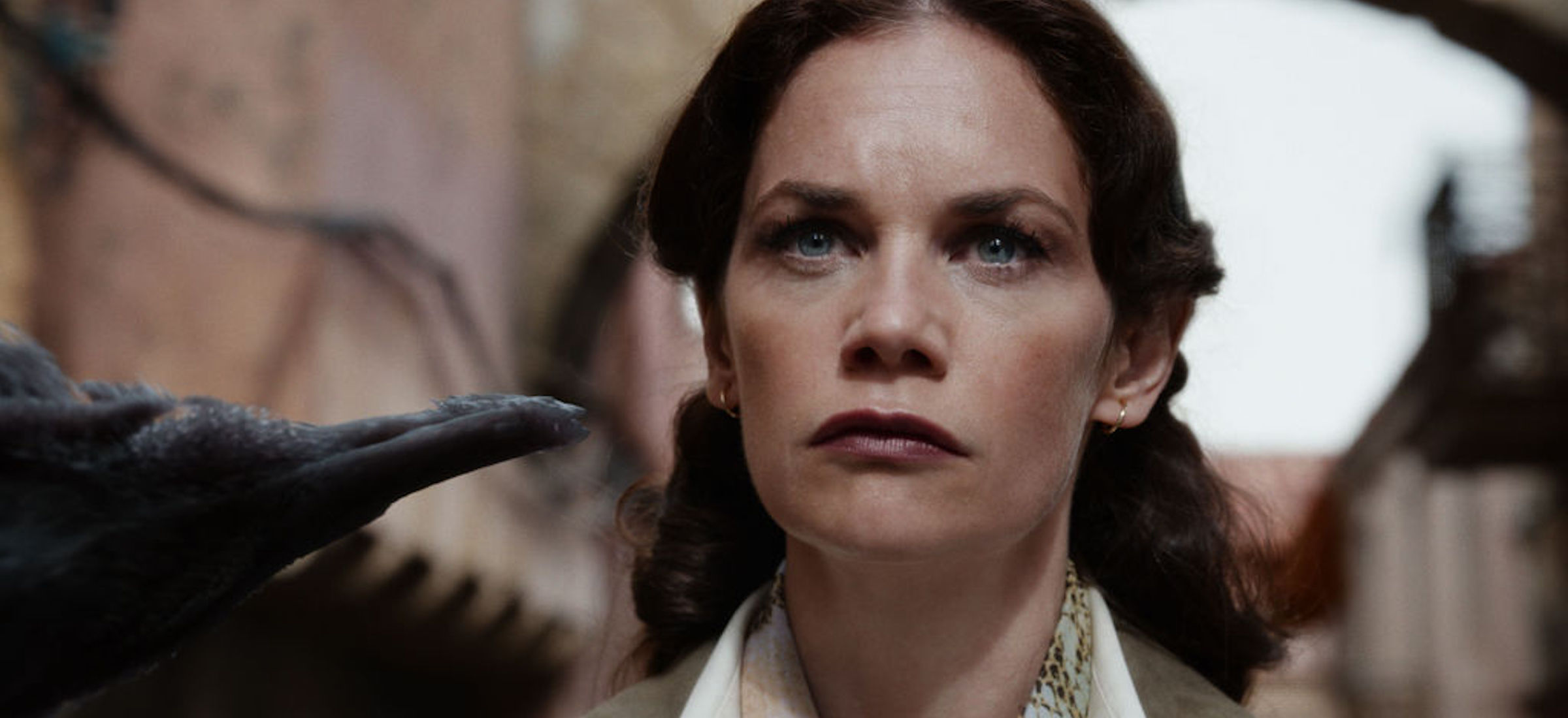 hbo go listopad premiery joker mroczne materie 2