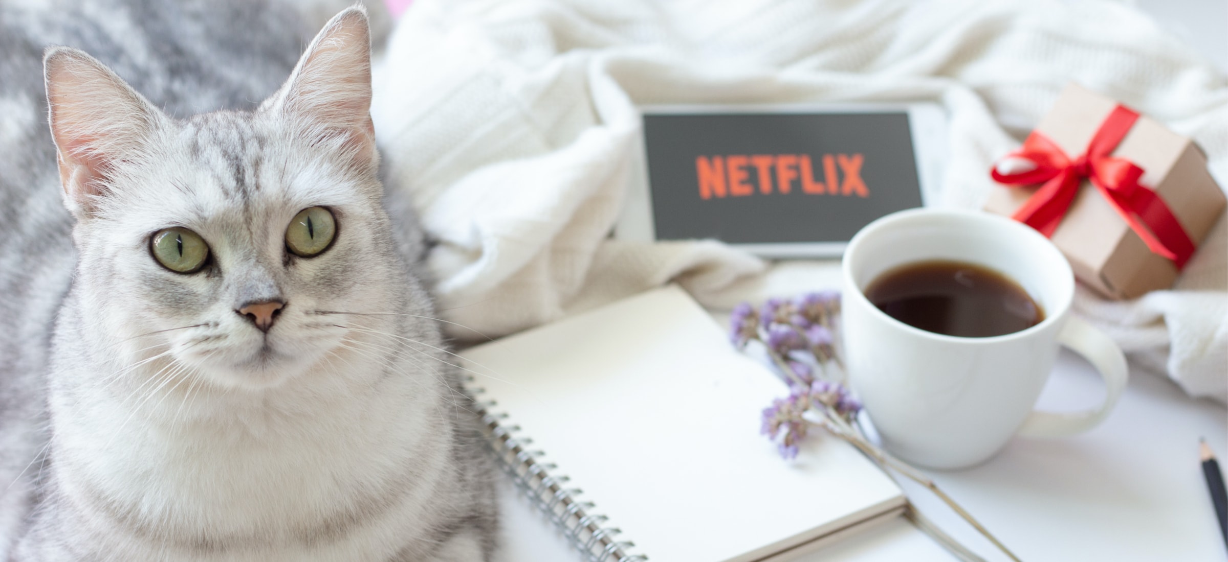 netflix top 10