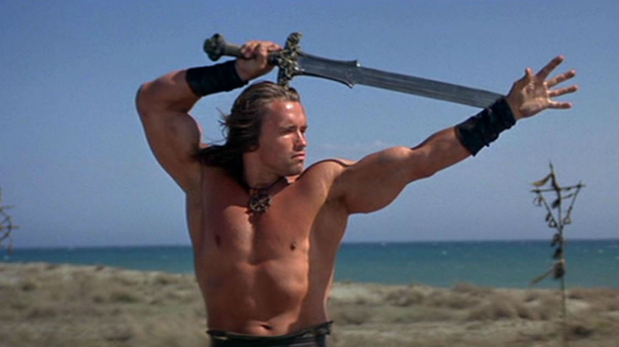 Arnold Schwarzenegger jako Conan Barbarzyńca