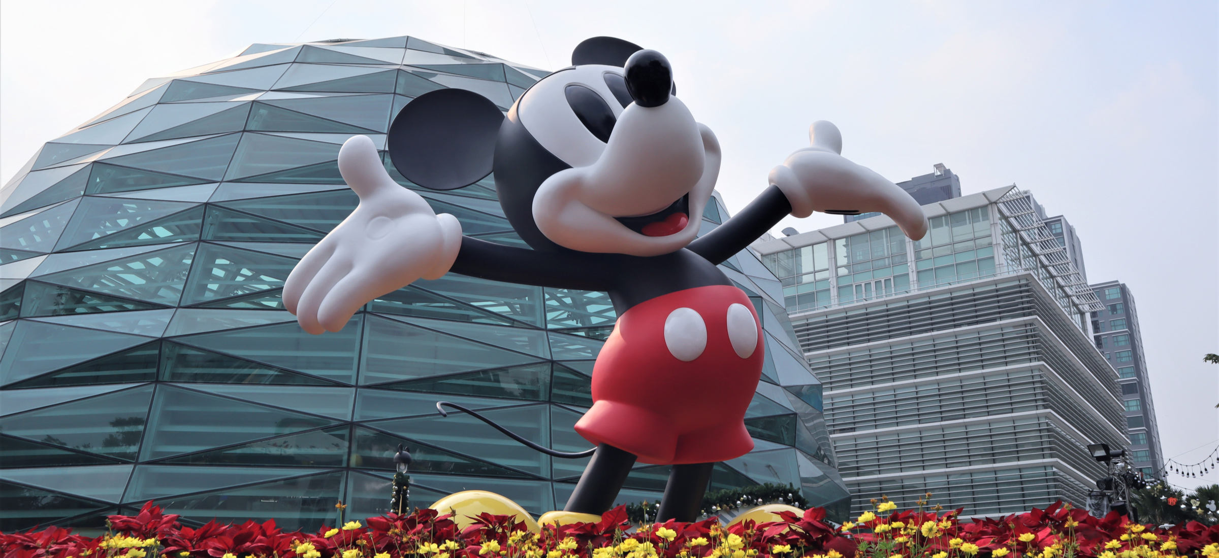 Disney zapowiada skrócenie okna dystrybucji kinowej swoich filmów