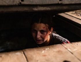 Międzynarodowe sukcesy W lesie dziś nie zaśnie nikt i 365 dni