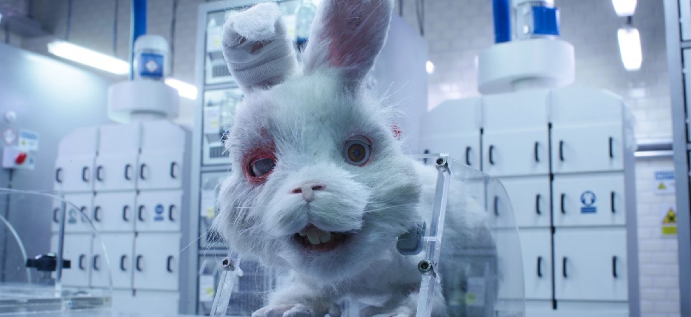 Save Ralph. Taika Waititi wystąpił w etiudzie, żeby ratować zwierzęta