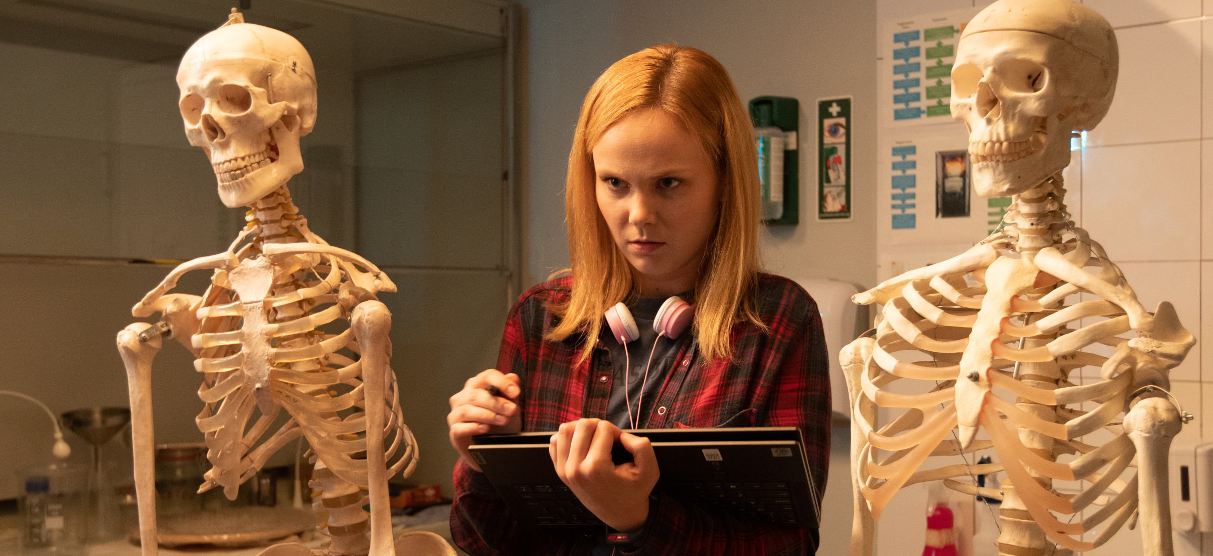 sexify netflix premiera popularność