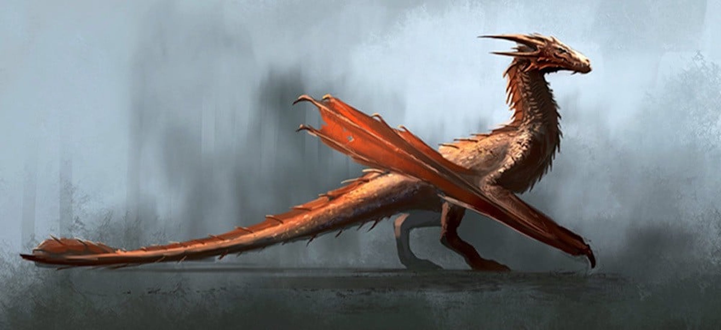 house of the dragon gra o tron spinoffy