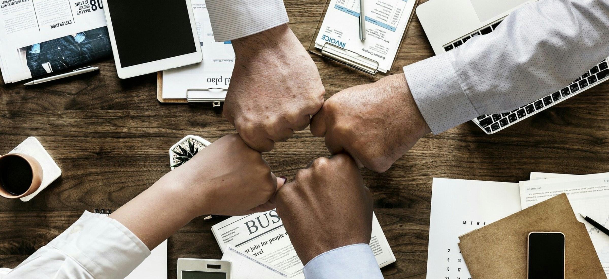 biz czarnek nowy przedmiot przedsiębiorczość
