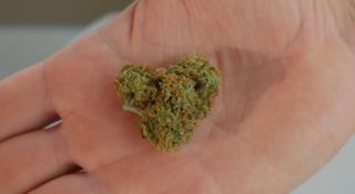 xawery ż reżyser zarzuty akt oskarżenia zatrzymany narkotyki marihuana kokaina