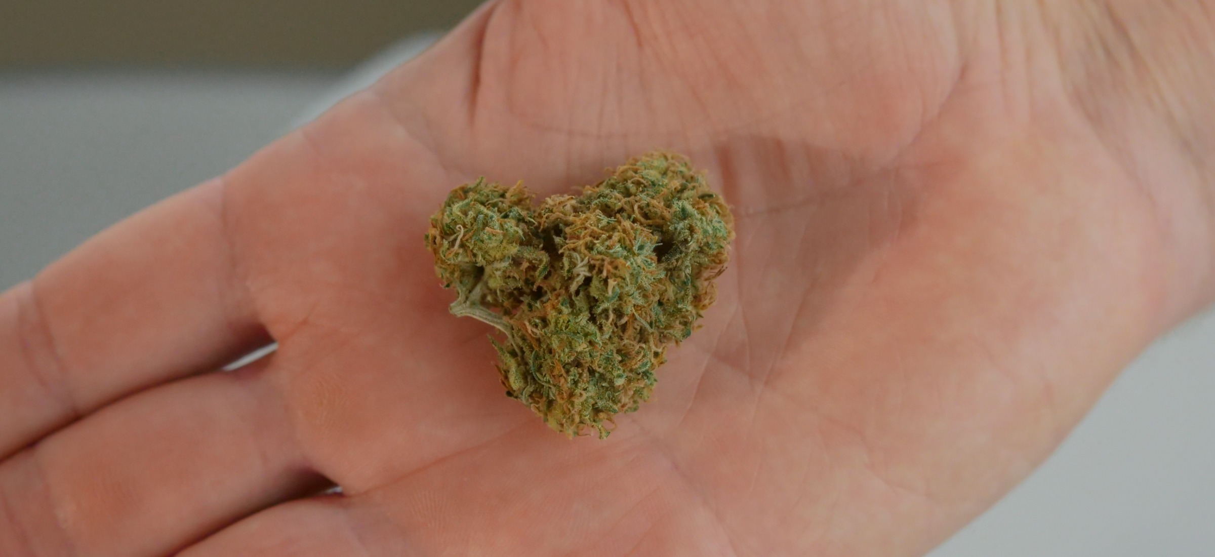 xawery ż reżyser zarzuty akt oskarżenia zatrzymany narkotyki marihuana kokaina