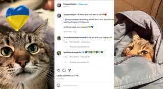 kot stepan instagram ukraina wojna influencerzy tikttok