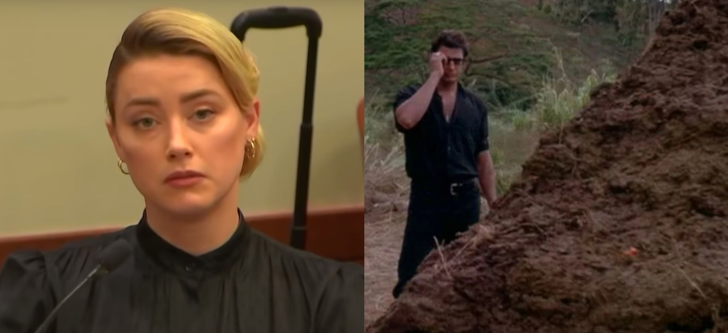 johnny depp amber heard toksyczna kobiecosc kupa memy