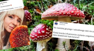 muchomor czerwony jedzenie grzyby halucynogenne trujące narkotyki