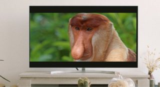 darmowy serwis vod