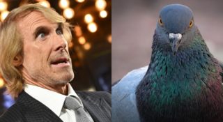 michael bay zabil golebia