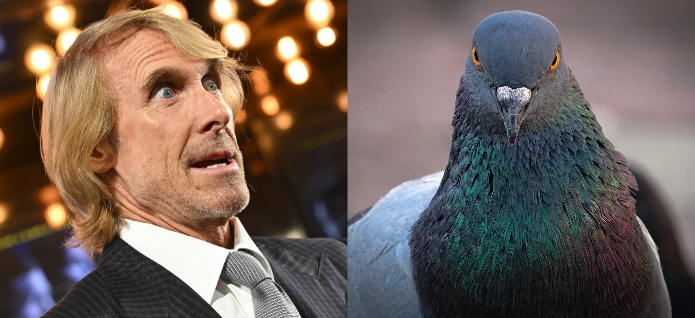 michael bay zabil golebia