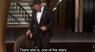 Oślica Jenny na Oscarach 2023