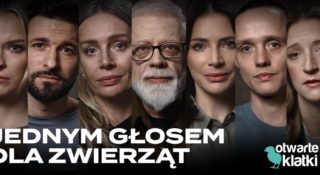 otwarte klatki petycja spot