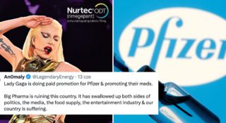 lady gaga pfizer migrena lek reklama fani krytyka
