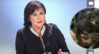 Pies Ciapunio bohaterem Sprawy dla reportera. Historia czworonoga stała się memem