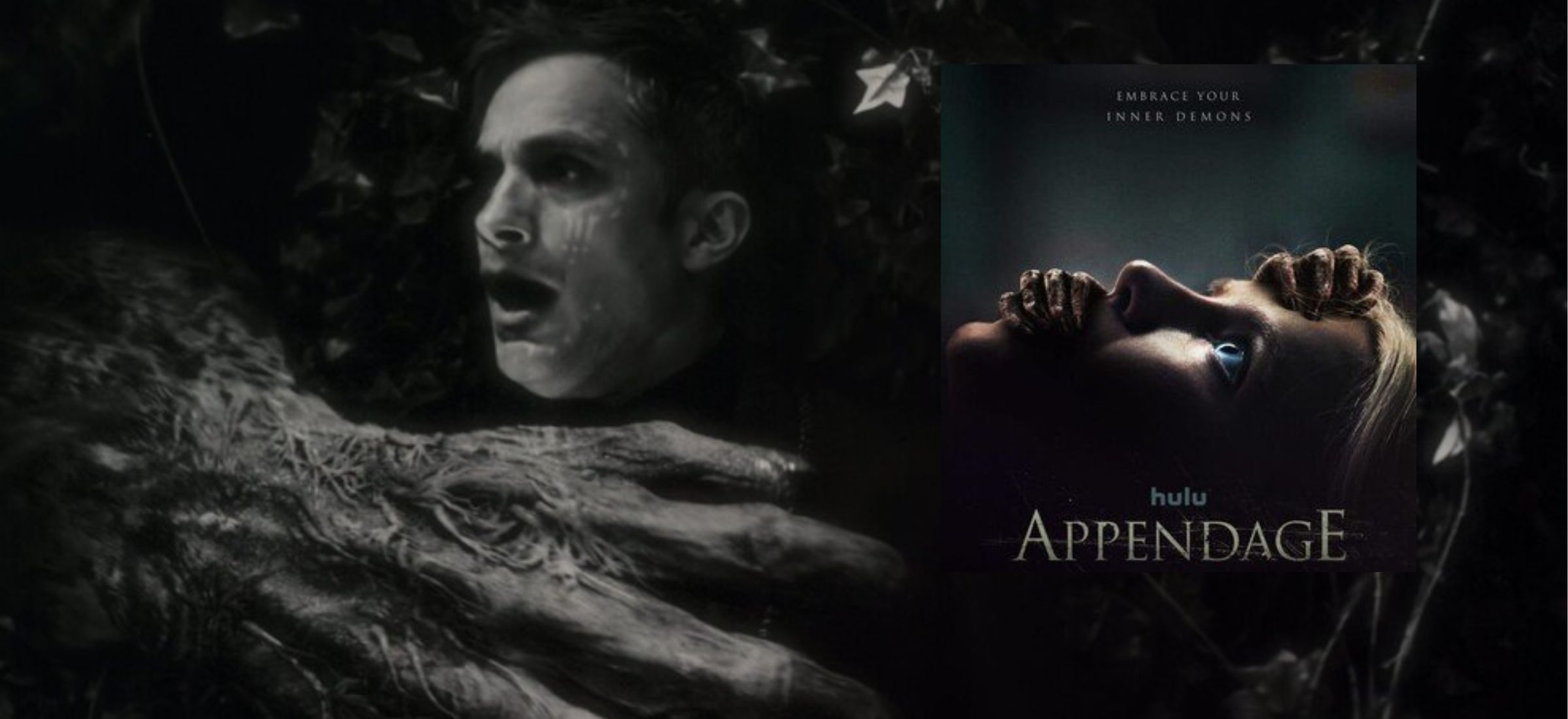 Wilkołak nocą Disney+